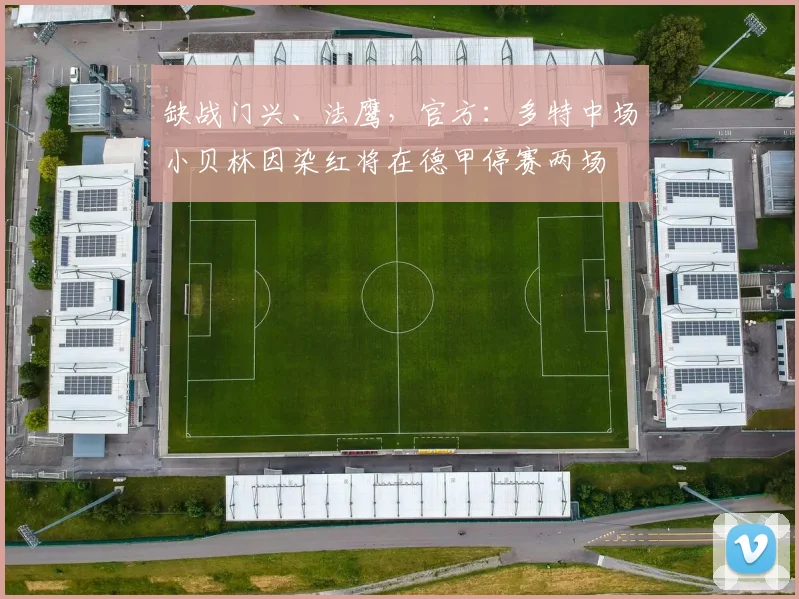 缺战门兴、法鹰，官方：多特中场小贝林因染红将在德甲停赛两场